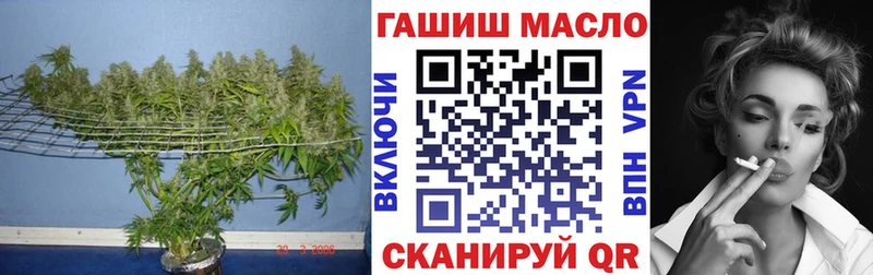 кракен вход  Гагарин  ТГК жижа 