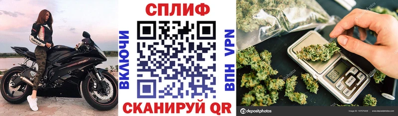 сколько стоит  Гагарин  Бошки марихуана индика 
